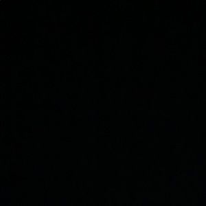 Meet your Posher, Sean